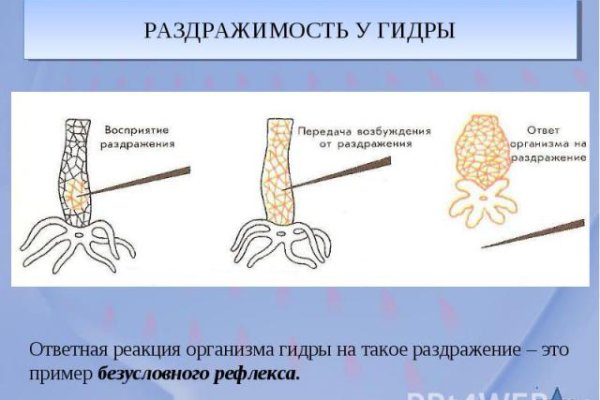 Вместо гидры