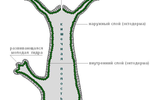 Кракен даркнет не работает