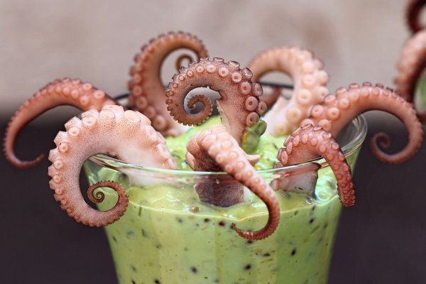 Kraken сайт tor