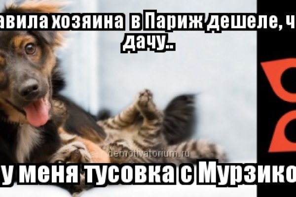 Кракен клир ссылка