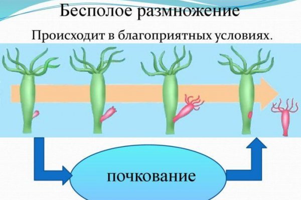 Кракен даркнет рабочая