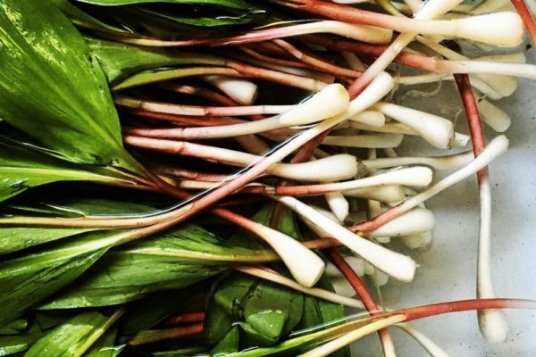 Сайты где купить наркотики