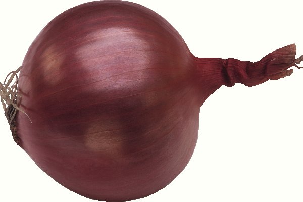 Kraken onion сайта