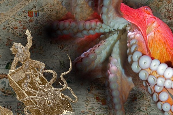 Kraken адрес