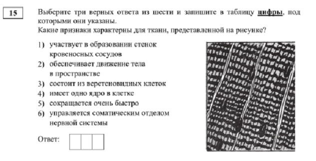 Кракен мага
