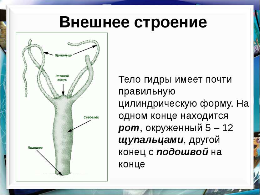 Кракен ссылка pw